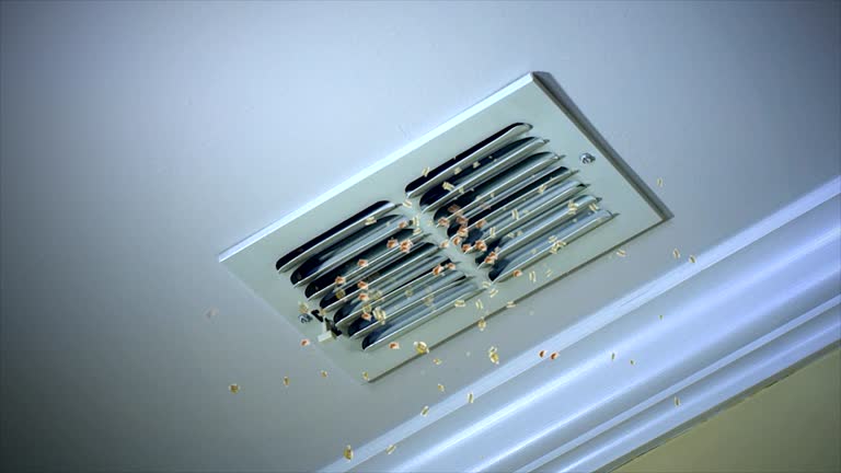 Best HVAC Duct Inspection Services  in Charlottesville, VA