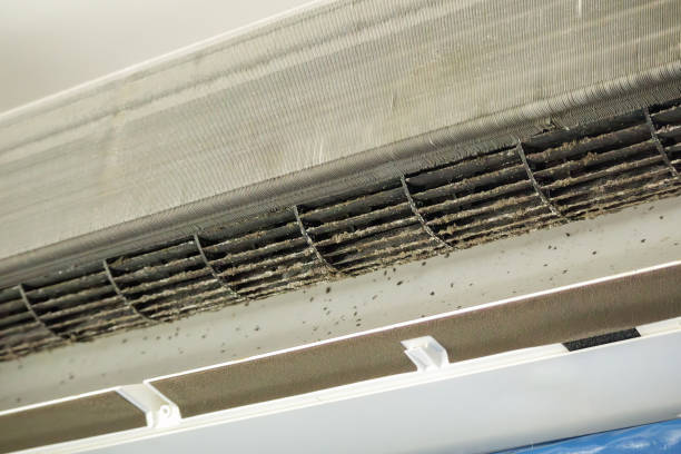 Best HVAC Maintenance and Cleaning  in Charlottesville, VA